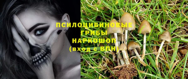 прущая мука Аркадак