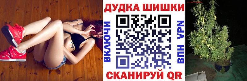 Бошки Шишки семена  Тогучин 